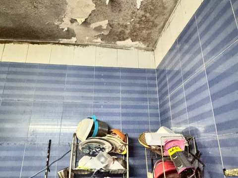20 families in Gaza Refugee Camp, Jerash, are unable to provide food for themselves on a monthly basis